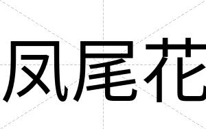 凤尾花