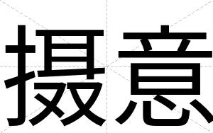摄意