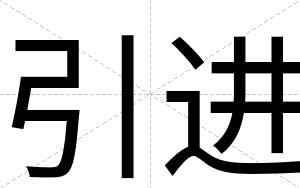 引进