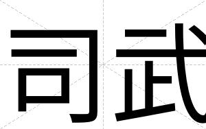 司武