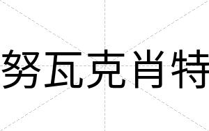 努瓦克肖特