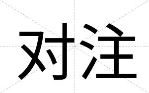 对注
