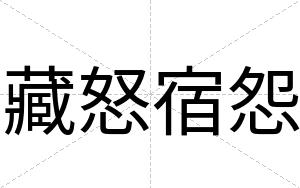 藏怒宿怨
