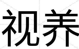 视养
