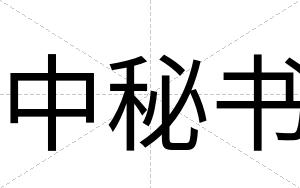 中秘书