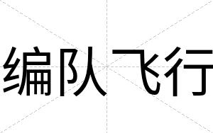 编队飞行