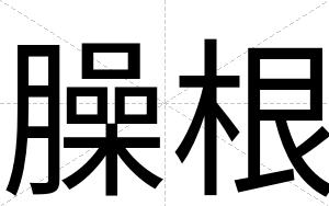 臊根