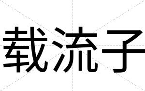 载流子