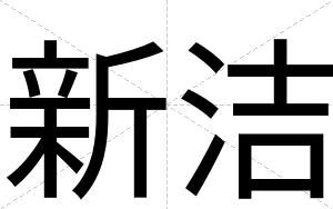 新洁