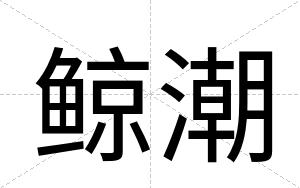 鲸潮