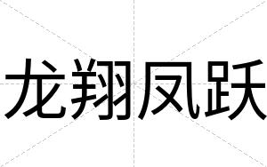 龙翔凤跃