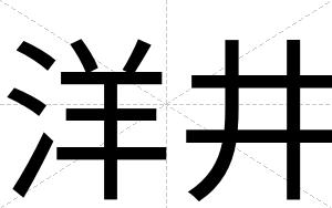 洋井