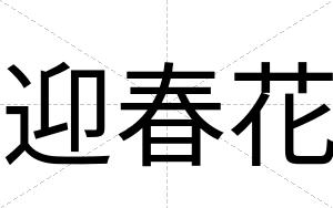 迎春花