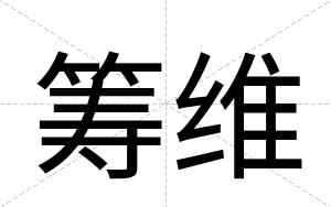 筹维