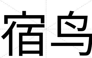 宿鸟