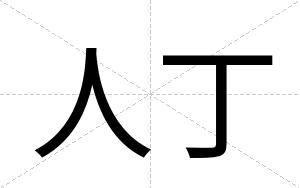 人丁