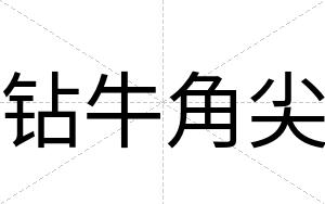钻牛角尖