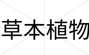 草本植物