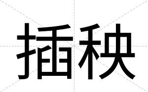 插秧