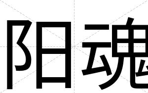 阳魂
