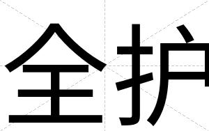 全护