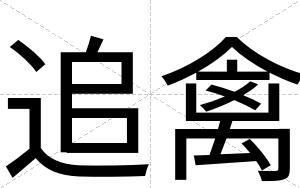 追禽