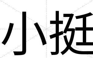小挺