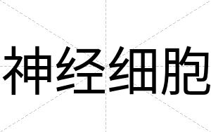神经细胞