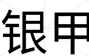 银甲
