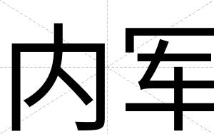 内军
