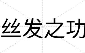 丝发之功