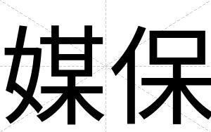 媒保