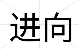 进向