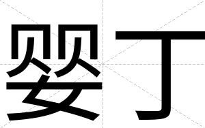 婴丁