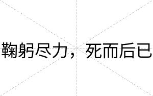 鞠躬尽力，死而后已