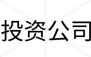 投资公司