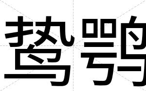 鸷鹗