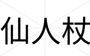 仙人杖