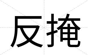 反掩