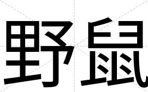 野鼠