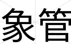 象管