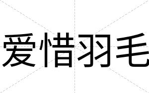 爱惜羽毛