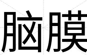 脑膜