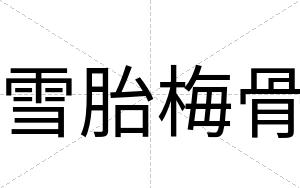 雪胎梅骨