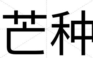 芒种
