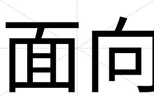 面向