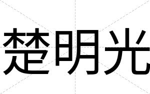 楚明光