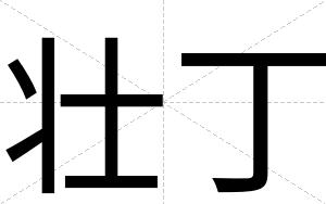 壮丁