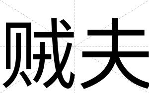 贼夫