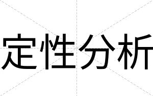 定性分析
